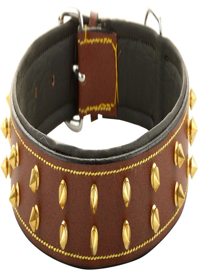 Skora Export Quality Genuine Brass Spiked Leather Dog Collar - 1.25Inch (ML) Dog Everyday Collar (Large, Black) - Image 1